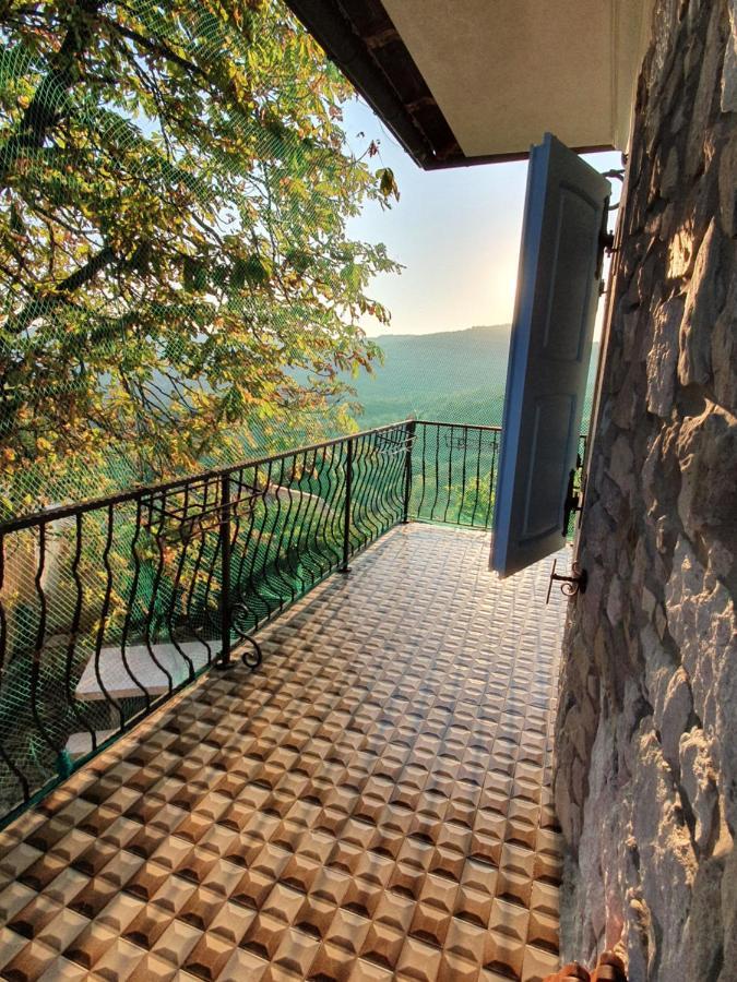 Апартаменты Casa Prodan Бузет Экстерьер фото